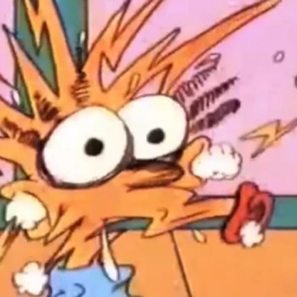 Les Simpson