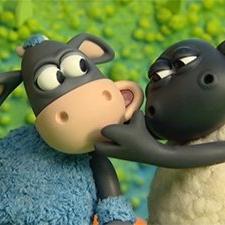 Voici Timmy