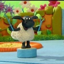 Voici Timmy