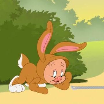Looney Tunes Cartoons