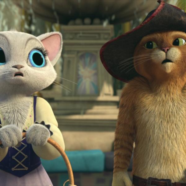 Les aventures du Chat Potté