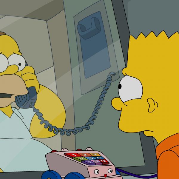 Les Simpson