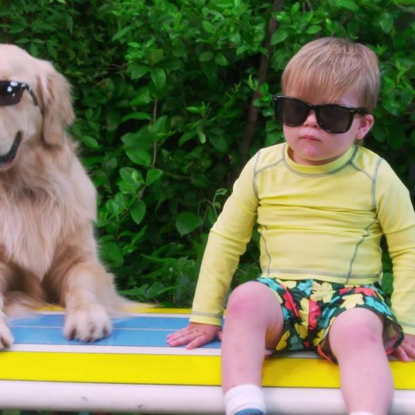 La Fête à la maison : 20 ans après