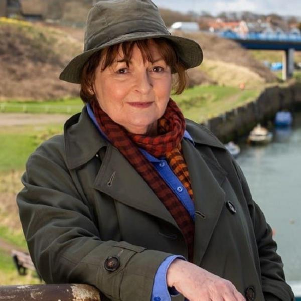 Les Enquêtes de Vera