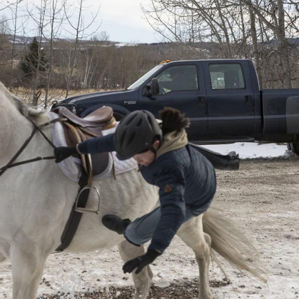 Heartland