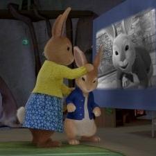 Pierre Lapin