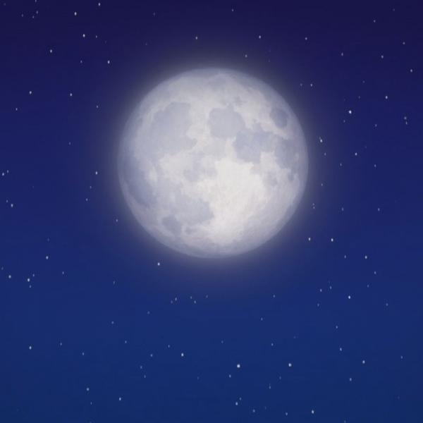 Spidey et ses amis extraordinaires