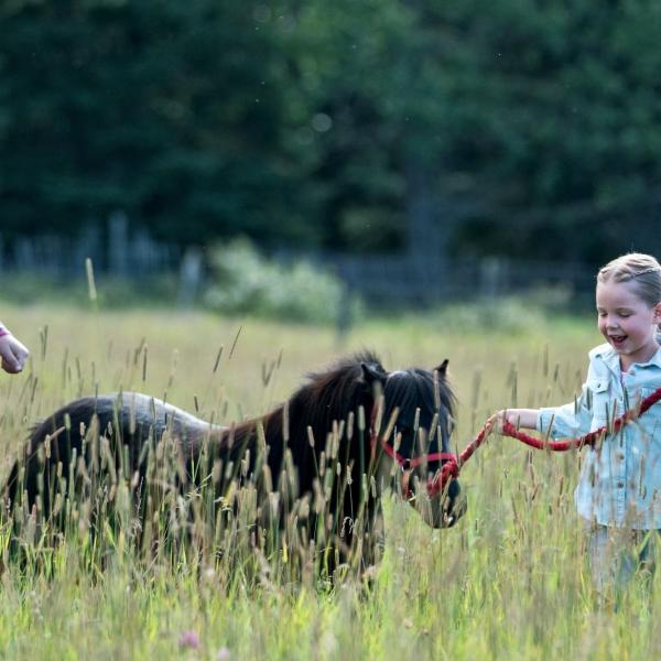 Heartland