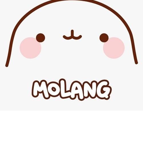 Molang