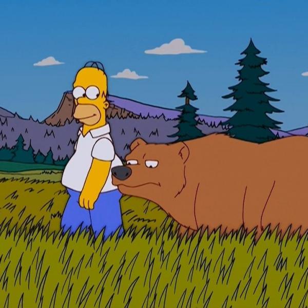Les Simpson