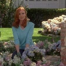 Desperate Housewives