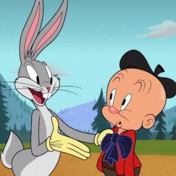 Looney Tunes Cartoons