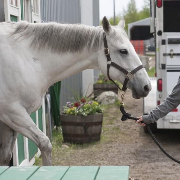 Heartland