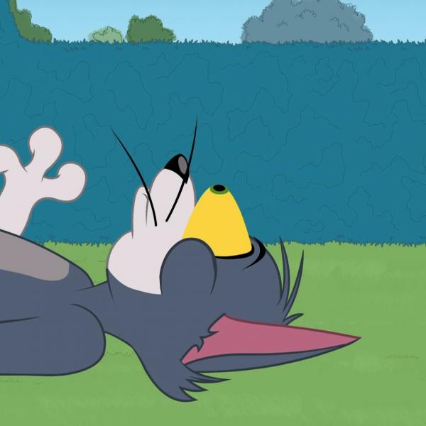 Tom et Jerry Show