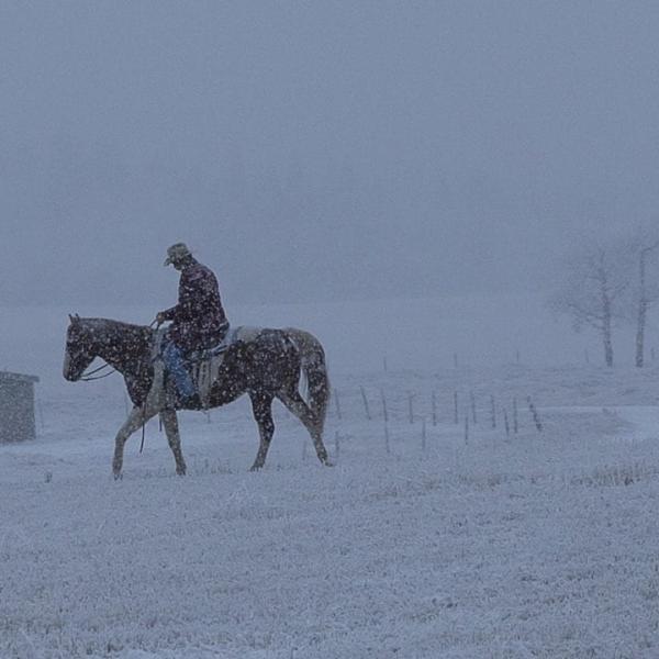 Heartland