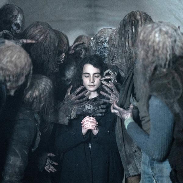 The Walking Dead : Daryl Dixon