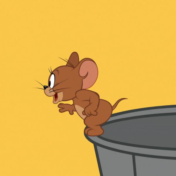 Tom et Jerry Show