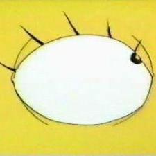 Les Simpson