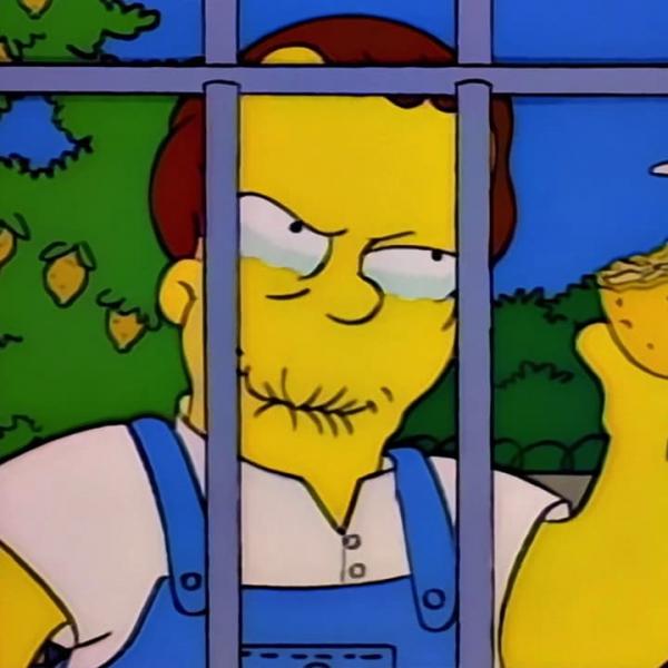 Les Simpson
