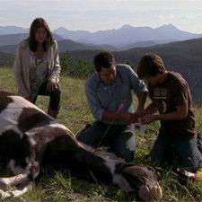 Heartland