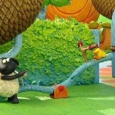 Voici Timmy