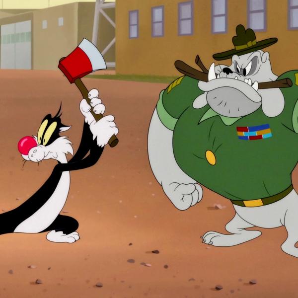 Looney Tunes Cartoons