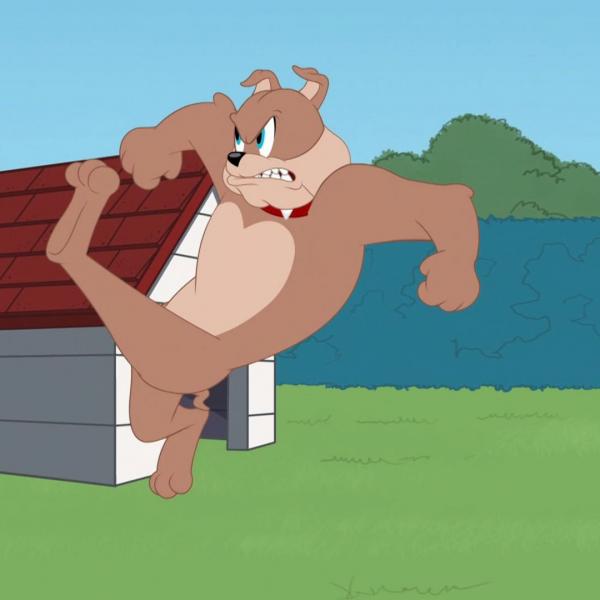 Tom et Jerry Show