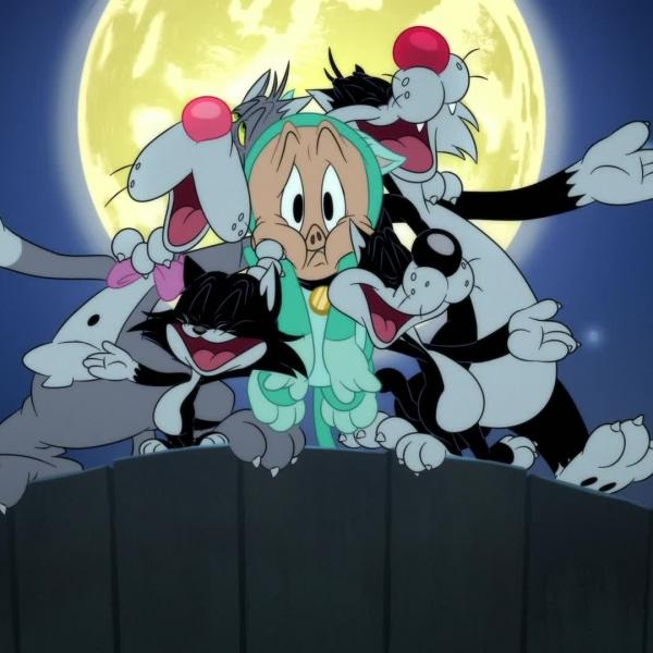 Looney Tunes Cartoons