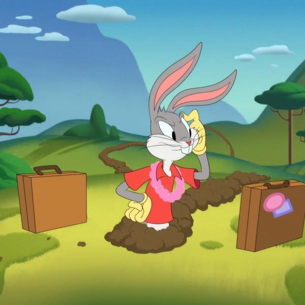 Looney Tunes Cartoons