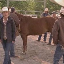 Heartland