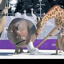 Athleticus