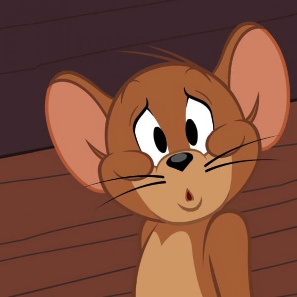 Tom et Jerry Show