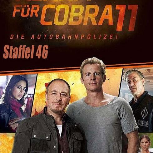 Alerte Cobra