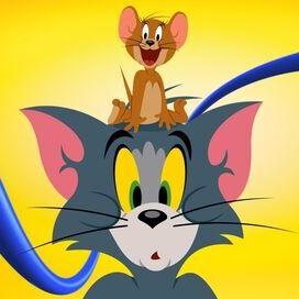 Tom et Jerry Show S4 E11